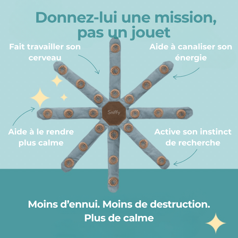 Jouet d’occupation pour chien intelligent