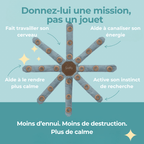Jouet d’occupation pour chien intelligent