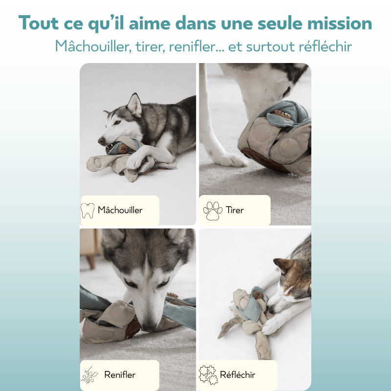 Jouet d’occupation pour chien intelligent